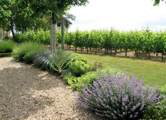 Chateau Belles Graves Bed & Breakfast Pomérols Eksteriør bilde