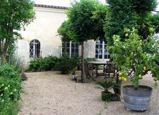 Chateau Belles Graves Bed & Breakfast Pomérols Eksteriør bilde